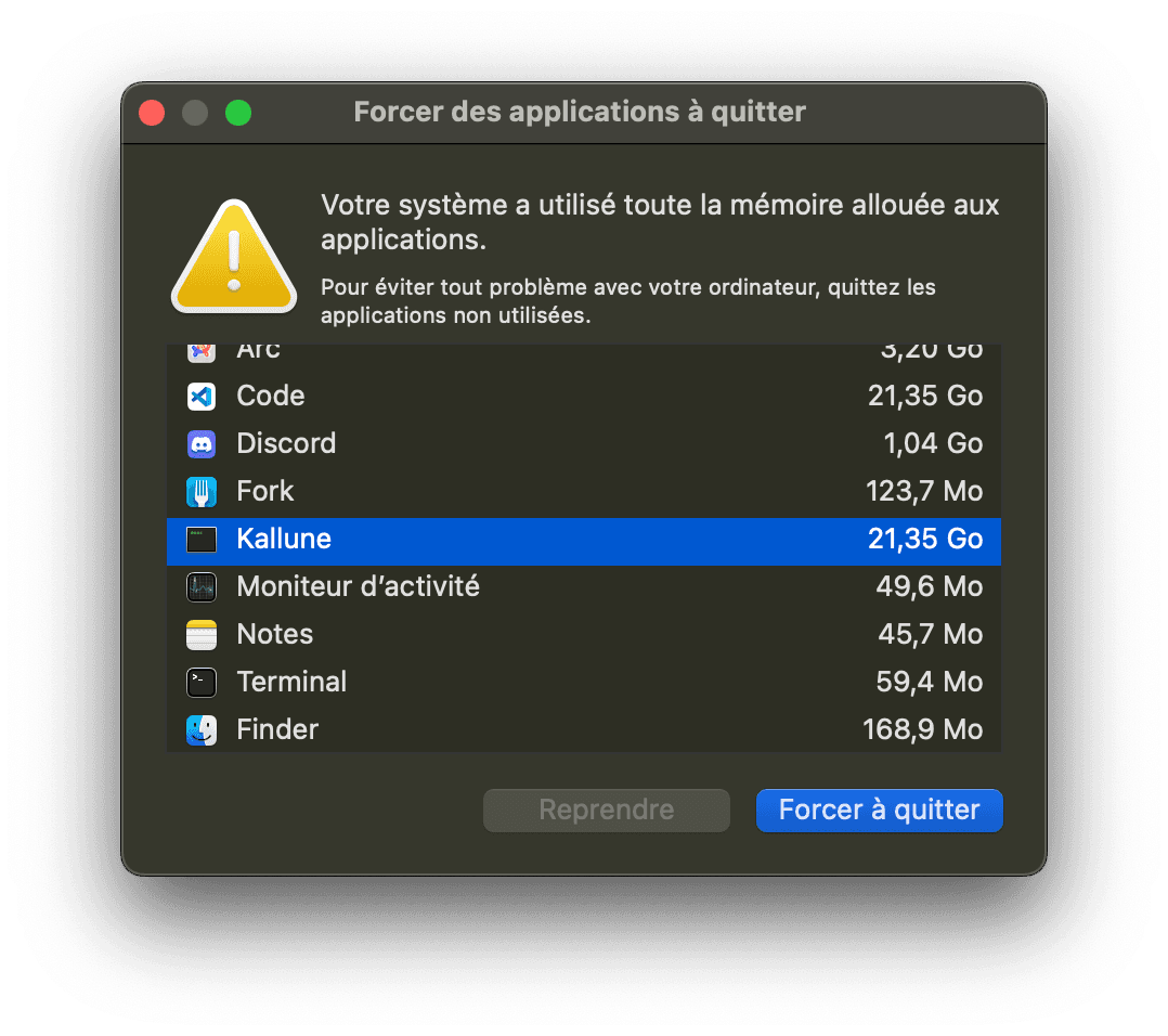 Program crash